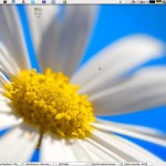 ubuntu-desc Ubuntu Desktop